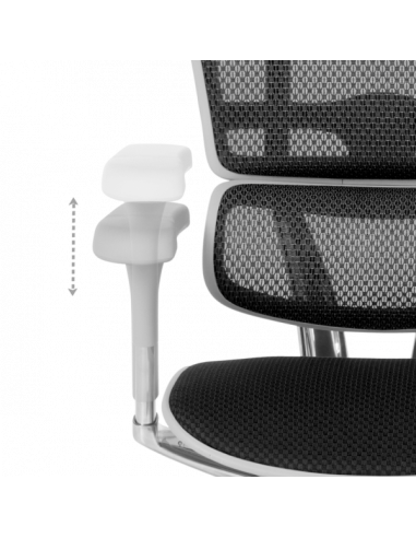 Ергономичен стол ERGOHUMAN ELITE 2 - сива рамка - черен