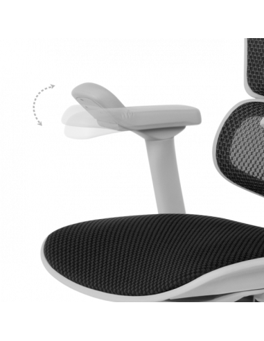 Ергономичен стол ERGOHUMAN ELITE 2 - сива рамка - черен