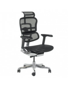 Ергономичен стол ERGOHUMAN ELITE 2 - черна рамка - черен