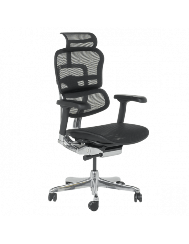 Ергономичен стол ERGOHUMAN ELITE 2 - черна рамка - черен