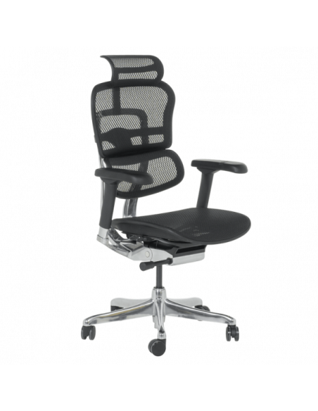 Ергономичен стол ERGOHUMAN ELITE 2 - черна рамка - черен