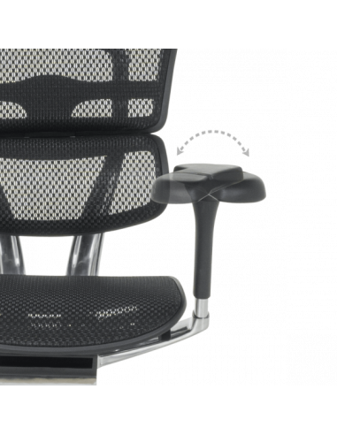 Ергономичен стол ERGOHUMAN ELITE 2 - черна рамка - черен