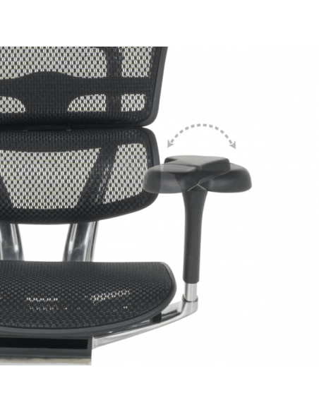 Ергономичен стол ERGOHUMAN ELITE 2 - черна рамка - черен