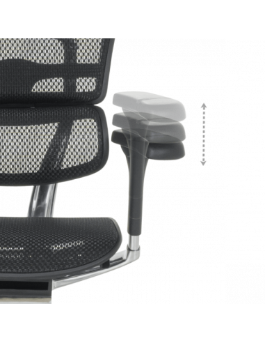 Ергономичен стол ERGOHUMAN ELITE 2 - черна рамка - черен