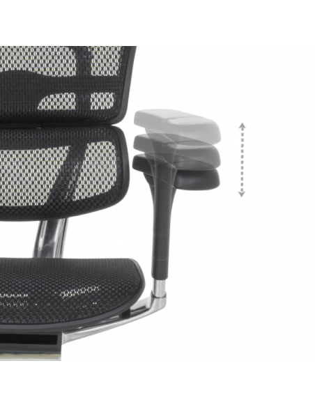 Ергономичен стол ERGOHUMAN ELITE 2 - черна рамка - черен