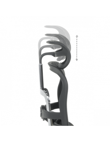 Ергономичен стол ERGOHUMAN ELITE 2 - черна рамка - черен