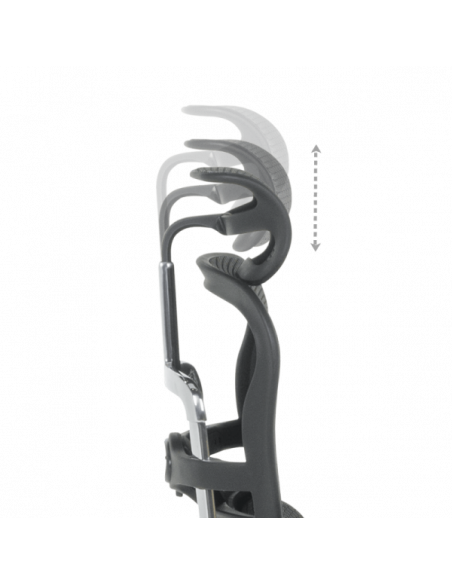 Ергономичен стол ERGOHUMAN ELITE 2 - черна рамка - черен