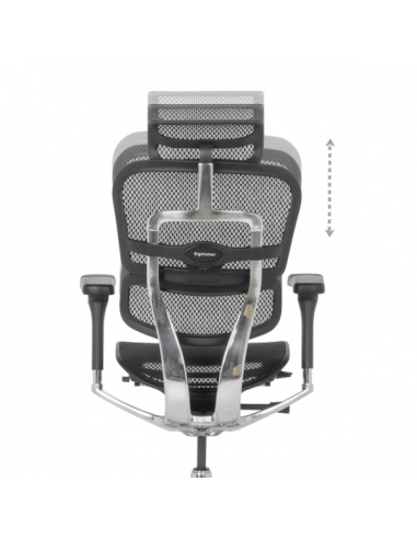 Ергономичен стол ERGOHUMAN ELITE 2 - черна рамка - черен