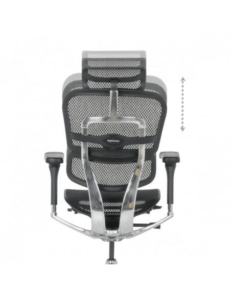 Ергономичен стол ERGOHUMAN ELITE 2 - черна рамка - черен