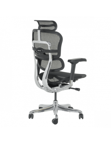 Ергономичен стол ERGOHUMAN ELITE 2 - черна рамка - черен