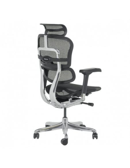 Ергономичен стол ERGOHUMAN ELITE 2 - черна рамка - черен