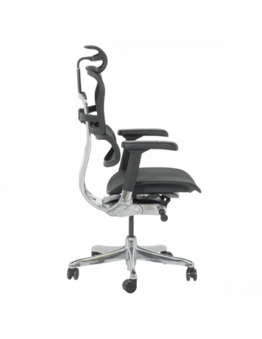 Ергономичен стол ERGOHUMAN ELITE 2 - черна рамка - черен