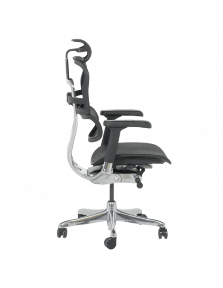 Ергономичен стол ERGOHUMAN ELITE 2 - черна рамка - черен