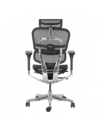 Ергономичен стол ERGOHUMAN ELITE 2 - черна рамка - черен