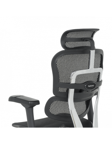 Ергономичен стол ERGOHUMAN ELITE 2 - черна рамка - черен