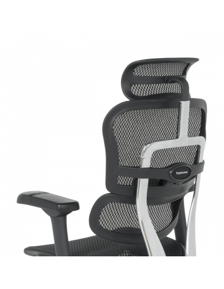 Ергономичен стол ERGOHUMAN ELITE 2 - черна рамка - черен