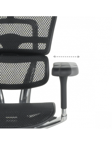 Ергономичен стол ERGOHUMAN ELITE 2 - черна рамка - черен