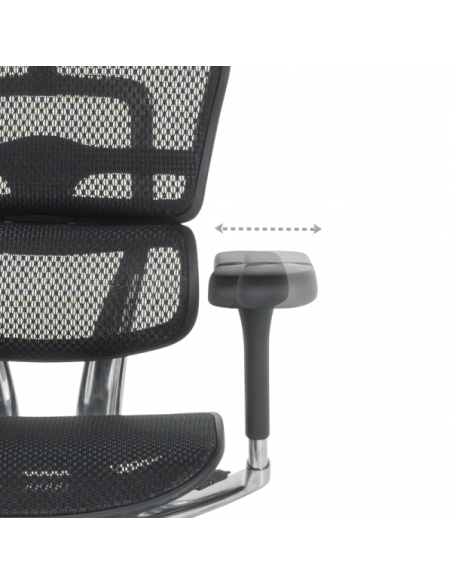 Ергономичен стол ERGOHUMAN ELITE 2 - черна рамка - черен