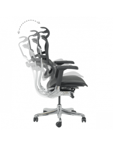 Ергономичен стол ERGOHUMAN ELITE 2 - черна рамка - черен