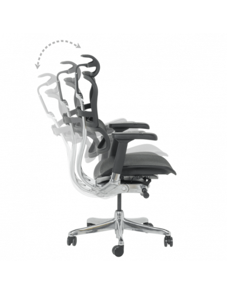 Ергономичен стол ERGOHUMAN ELITE 2 - черна рамка - черен