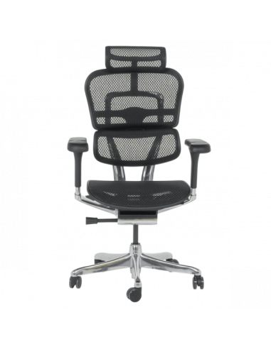 Ергономичен стол ERGOHUMAN ELITE 2 - черна рамка - черен