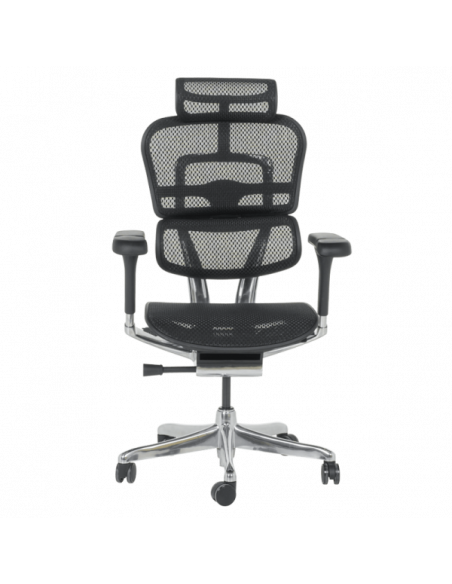 Ергономичен стол ERGOHUMAN ELITE 2 - черна рамка - черен