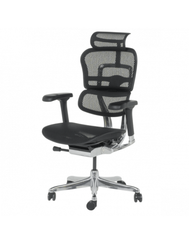 Ергономичен стол ERGOHUMAN ELITE 2 - черна рамка - черен