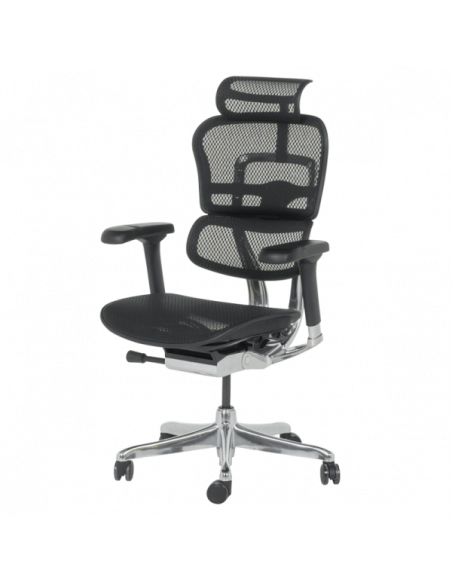 Ергономичен стол ERGOHUMAN ELITE 2 - черна рамка - черен