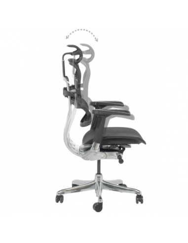 Ергономичен стол ERGOHUMAN ELITE 2 - черна рамка - черен