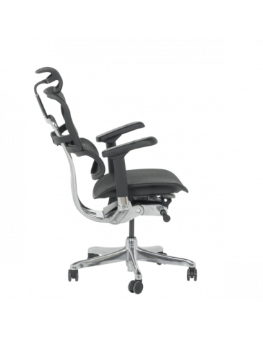 Ергономичен стол ERGOHUMAN ELITE 2 - черна рамка - черен