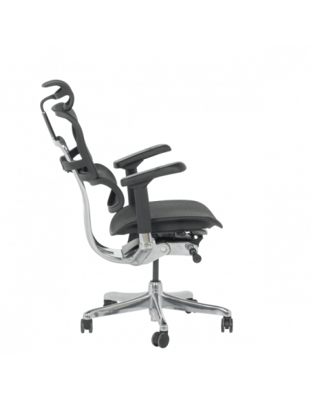 Ергономичен стол ERGOHUMAN ELITE 2 - черна рамка - черен