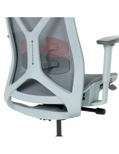 Ергономичен стол BETHAL - син