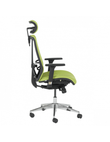 Ергономичен стол COTIA - зелен