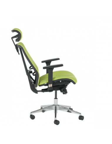 Ергономичен стол COTIA - зелен