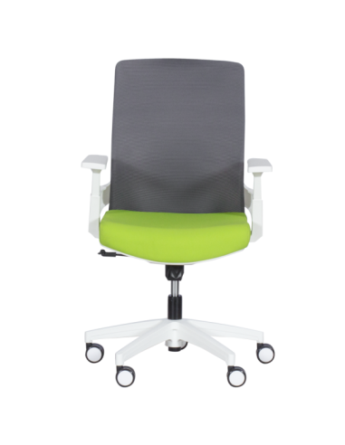 Работен офис стол Carmen 7547 - зелен-сив