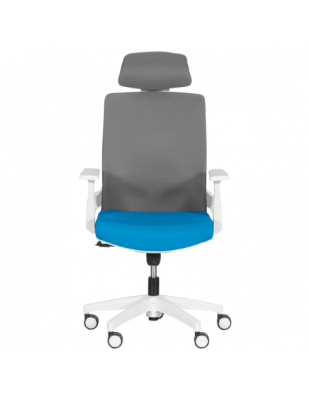 Президентски офис стол Carmen 7546 - син-сив