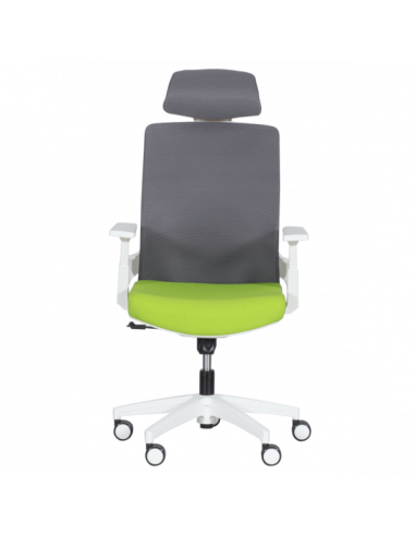 Президентски офис стол Carmen 7546 - зелен-сив