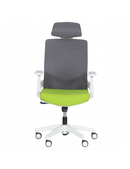 Президентски офис стол Carmen 7546 - зелен-сив