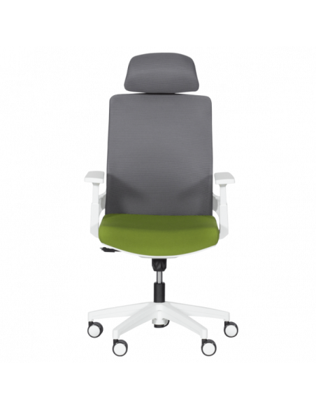 Президентски офис стол Carmen 7546 - тъмнозелен-сив