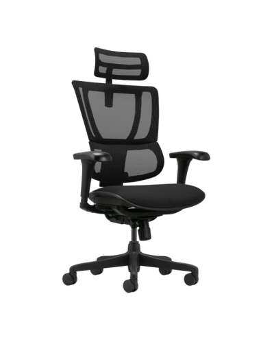 Ергономичен стол ERGOHUMAN IOO BUDGET 2 - черна рамка - черен