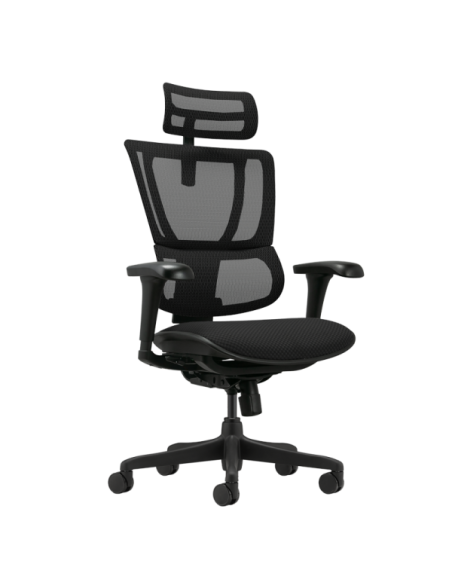 Ергономичен стол ERGOHUMAN IOO BUDGET 2 - черна рамка - черен