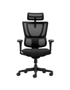 Ергономичен стол ERGOHUMAN IOO BUDGET 2 - черна рамка - черен 2