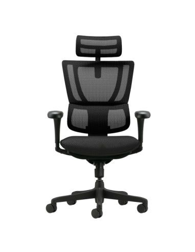 Ергономичен стол ERGOHUMAN IOO BUDGET 2 - черна рамка - черен