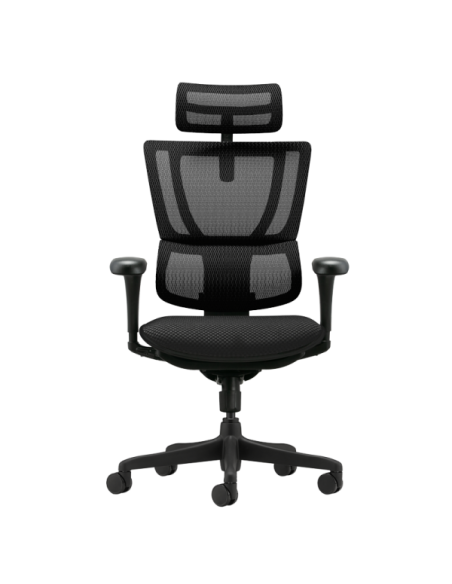 Ергономичен стол ERGOHUMAN IOO BUDGET 2 - черна рамка - черен