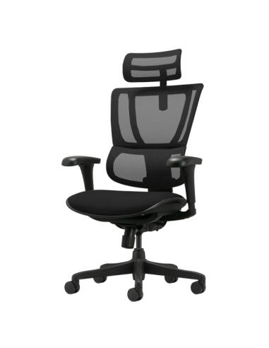 Ергономичен стол ERGOHUMAN IOO BUDGET 2 - черна рамка - черен