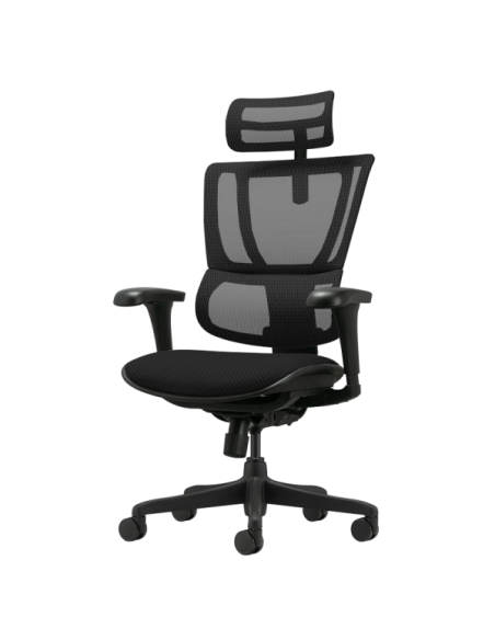 Ергономичен стол ERGOHUMAN IOO BUDGET 2 - черна рамка - черен