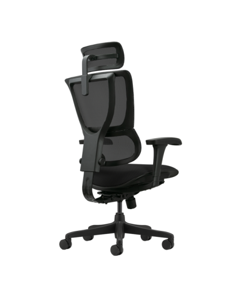 Ергономичен стол ERGOHUMAN IOO BUDGET 2 - черна рамка - черен