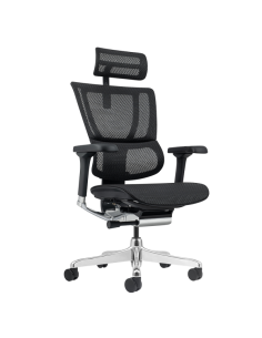 Ергономичен стол ERGOHUMAN ELITE 2 - черна рамка - черен