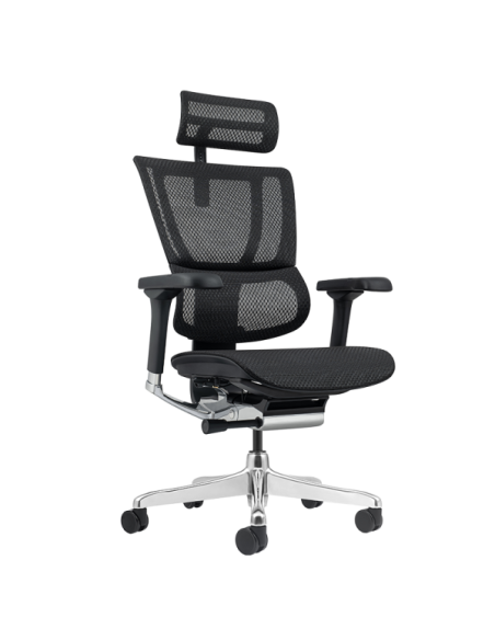 Ергономичен стол ERGOHUMAN ELITE 2 - черна рамка - черен