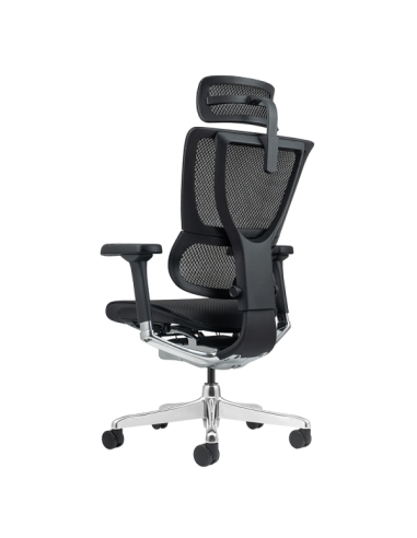 Ергономичен стол ERGOHUMAN ELITE 2 - черна рамка - черен